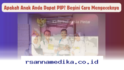 Cara Mudah Cek PIP untuk Anak Anda yang Harus Diketahui Orang Tua!