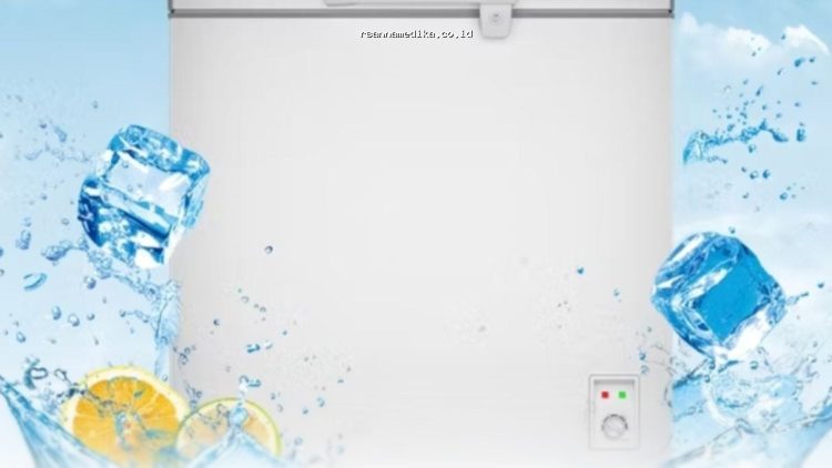Freezer Box Terbaik 2026: Solusi Hemat Listrik untuk Rumah dan Usaha Anda