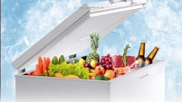 Freezer Box Terbaik 2026 yang Hemat Listrik & Tahan Lama untuk Rumah dan Usaha Anda