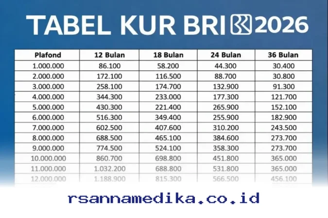 Simulasi KUR BRI 2026 untuk Pinjaman Rp10 Juta, Cicilan Aman untuk UMKM!