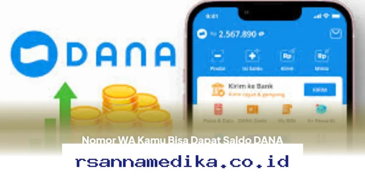 Cara Mudah Dapatkan Saldo DANA Rp345.000 dari Nomor WA Kamu, Begini Langkahnya!