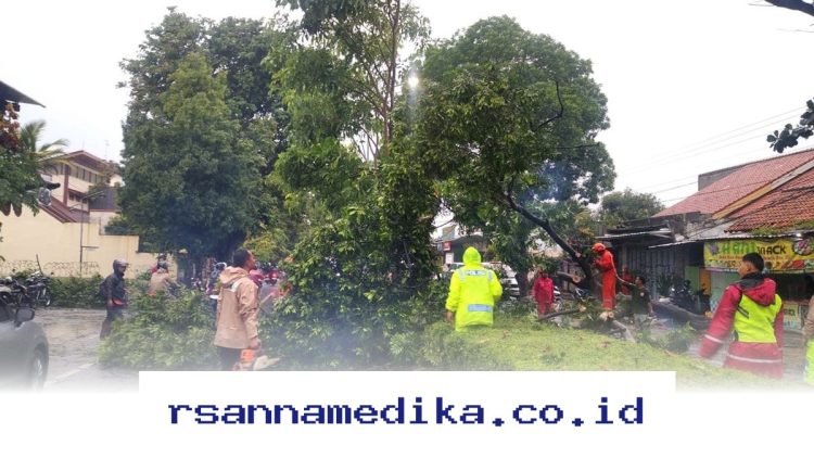 Hujan Deras dan Angin Kencang Terjang Slawi-Pangkah, Tim SAR Evakuasi Pohon Tumbang!