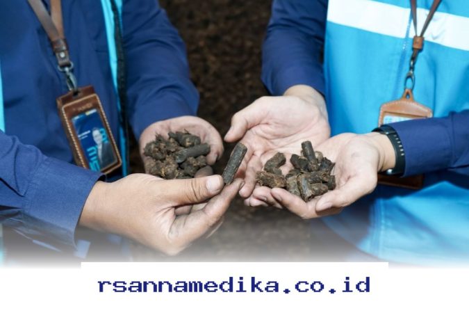 Rekor Baru PLN Indonesia Power Hasilkan 1.101 GWh Energi Hijau dari Biomassa di Tahun 2025!