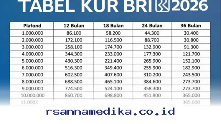 Cara Cerdas Ajukan KUR BRI 2026 Pinjaman 50 Juta dengan Angsuran Ringan Mulai 900 Ribuan!
