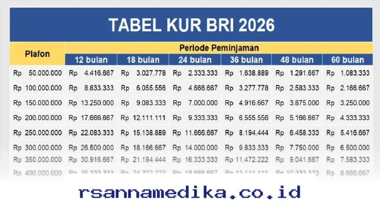 Mau Ajukan KUR BRI 2026 Sebesar 50 Juta? Simak Simulasi Cicilan Ringannya di Sini!