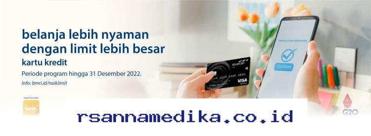 Rahasia Mendapatkan Kartu Kredit Mandiri Limit Tinggi Lewat Aplikasi dengan Cepat di Tahun 2026